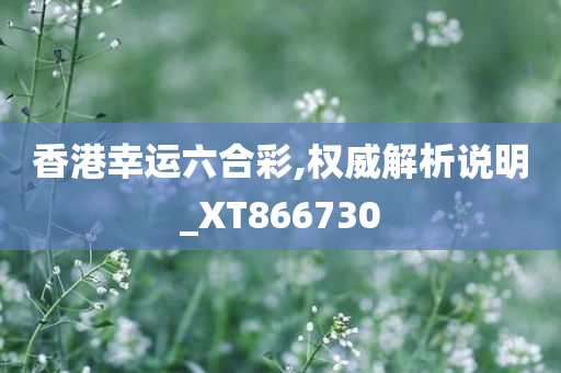 香港幸运六合彩,权威解析说明_XT866730