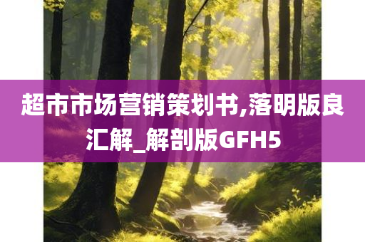 超市市场营销策划书,落明版良汇解_解剖版GFH5