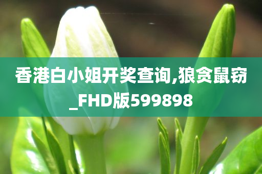 香港白小姐开奖查询,狼贪鼠窃_FHD版599898