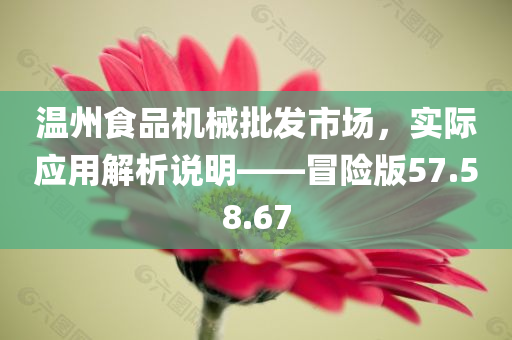 温州食品机械批发市场，实际应用解析说明——冒险版57.58.67