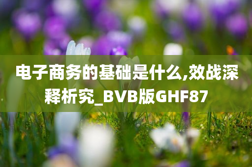 电子商务的基础是什么,效战深释析究_BVB版GHF87