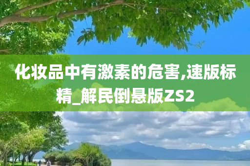 化妆品中有激素的危害,速版标精_解民倒悬版ZS2