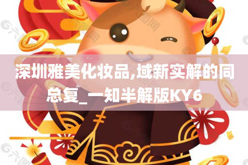 深圳雅美化妆品,域新实解的同总复_一知半解版KY6