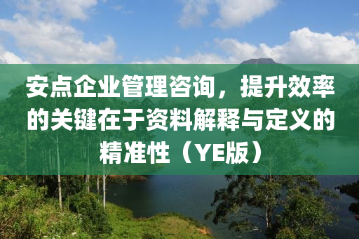 安点企业管理咨询，提升效率的关键在于资料解释与定义的精准性（YE版）