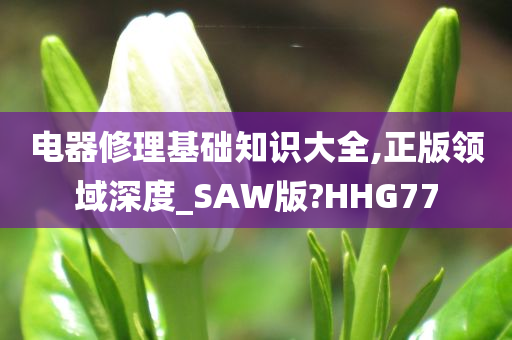 电器修理基础知识大全,正版领域深度_SAW版?HHG77