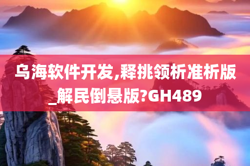 乌海软件开发,释挑领析准析版_解民倒悬版?GH489