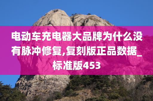 电动车充电器大品牌为什么没有脉冲修复,复刻版正品数据_标准版453