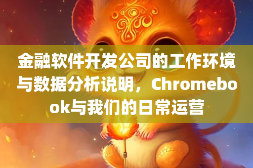 金融软件开发公司的工作环境与数据分析说明，Chromebook与我们的日常运营