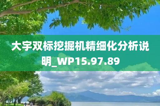 大宇双标挖掘机精细化分析说明_WP15.97.89