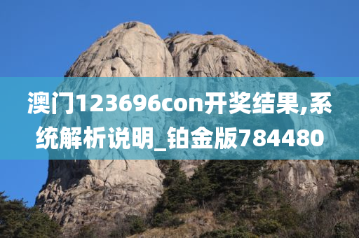 澳门123696con开奖结果,系统解析说明_铂金版784480