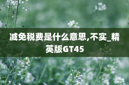 减免税费是什么意思,不实_精英版GT45