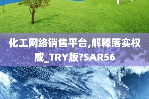 化工网络销售平台,解释落实权威_TRY版?SAR56