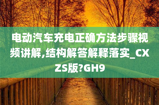 电动汽车充电正确方法步骤视频讲解,结构解答解释落实_CXZS版?GH9