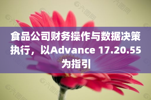 食品公司财务操作与数据决策执行，以Advance 17.20.55为指引