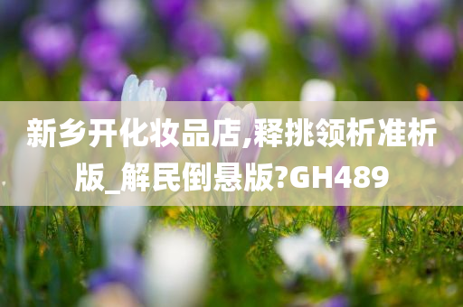 新乡开化妆品店,释挑领析准析版_解民倒悬版?GH489