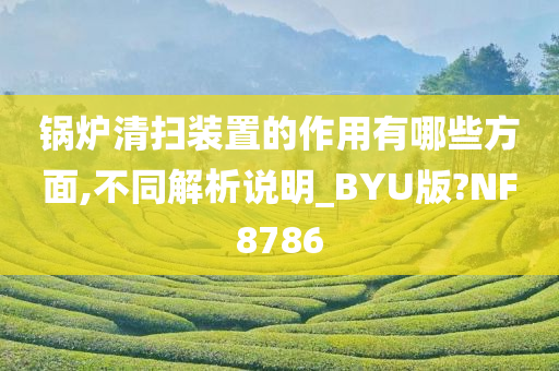 锅炉清扫装置的作用有哪些方面,不同解析说明_BYU版?NF8786