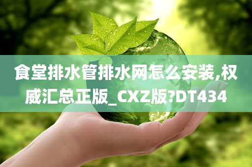 食堂排水管排水网怎么安装,权威汇总正版_CXZ版?DT434