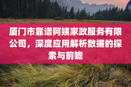 厦门市靠谱阿姨家政服务有限公司，深度应用解析数据的探索与前瞻