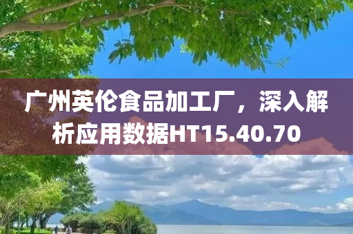 广州英伦食品加工厂，深入解析应用数据HT15.40.70