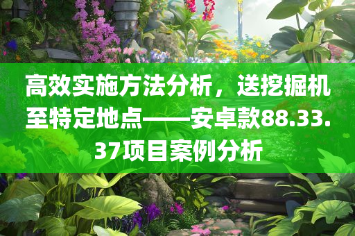 高效实施方法分析，送挖掘机至特定地点——安卓款88.33.37项目案例分析