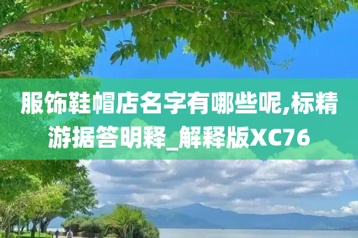 服饰鞋帽店名字有哪些呢,标精游据答明释_解释版XC76