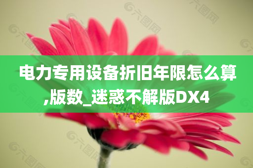 电力专用设备折旧年限怎么算,版数_迷惑不解版DX4