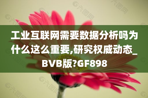 工业互联网需要数据分析吗为什么这么重要,研究权威动态_BVB版?GF898