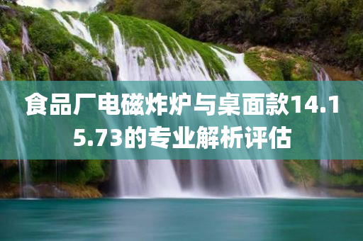 食品厂电磁炸炉与桌面款14.15.73的专业解析评估