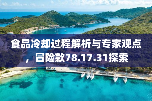 食品冷却过程解析与专家观点，冒险款78.17.31探索