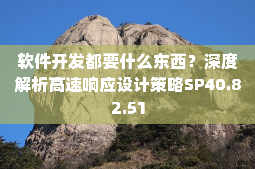 软件开发都要什么东西？深度解析高速响应设计策略SP40.82.51