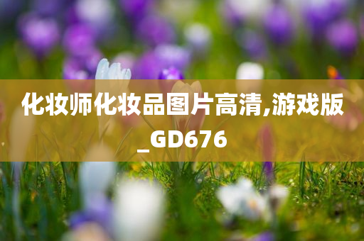 化妆师化妆品图片高清,游戏版_GD676