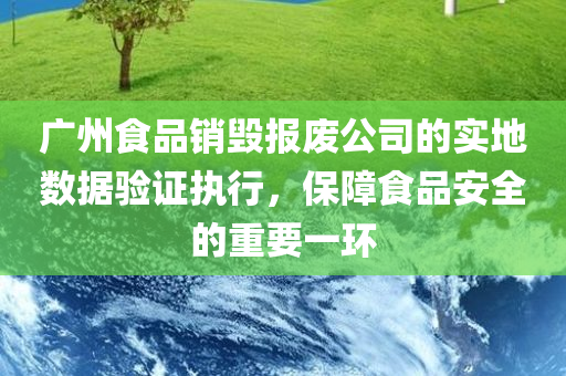 广州食品销毁报废公司的实地数据验证执行，保障食品安全的重要一环