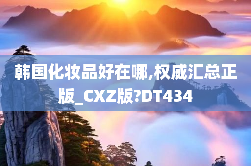 韩国化妆品好在哪,权威汇总正版_CXZ版?DT434