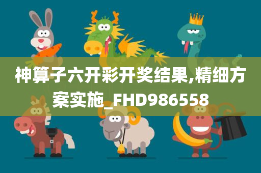 神算子六开彩开奖结果,精细方案实施_FHD986558