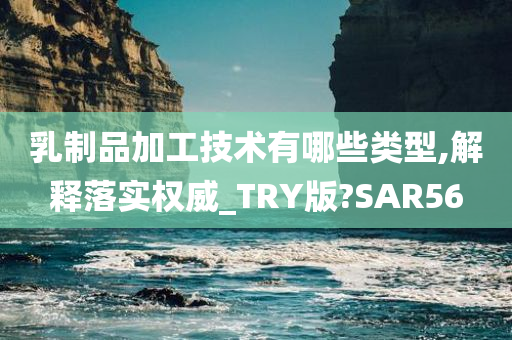 乳制品加工技术有哪些类型,解释落实权威_TRY版?SAR56