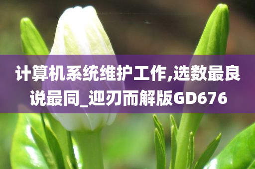 计算机系统维护工作,选数最良说最同_迎刃而解版GD676