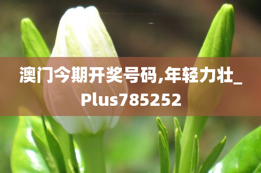 澳门今期开奖号码,年轻力壮_Plus785252