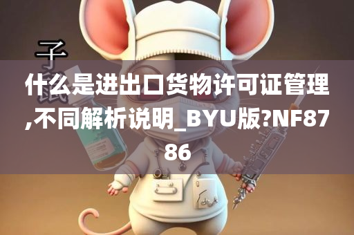 什么是进出口货物许可证管理,不同解析说明_BYU版?NF8786