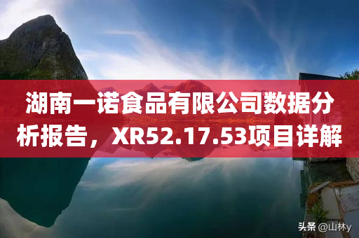 湖南一诺食品有限公司数据分析报告，XR52.17.53项目详解