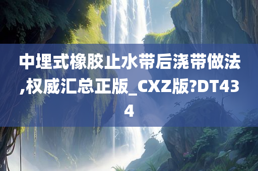 中埋式橡胶止水带后浇带做法,权威汇总正版_CXZ版?DT434