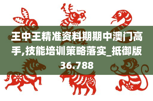 王中王精准资料期期中澳门高手,技能培训策略落实_抵御版36.788