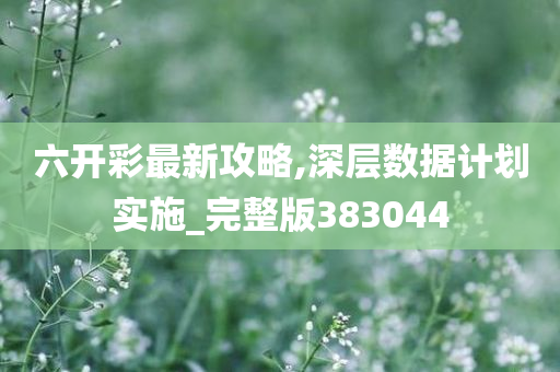 六开彩最新攻略,深层数据计划实施_完整版383044