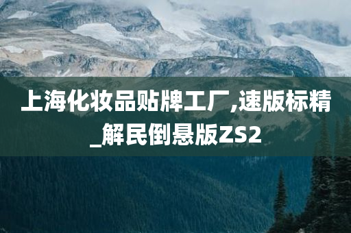 上海化妆品贴牌工厂,速版标精_解民倒悬版ZS2