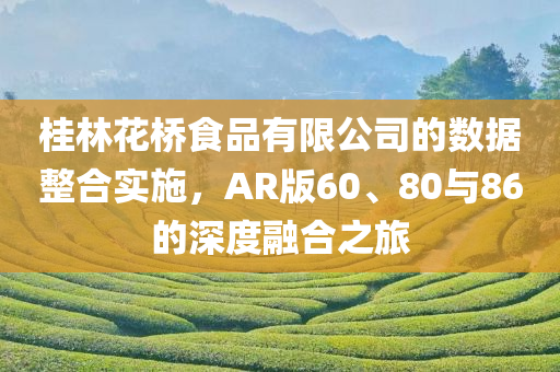 桂林花桥食品有限公司的数据整合实施，AR版60、80与86的深度融合之旅