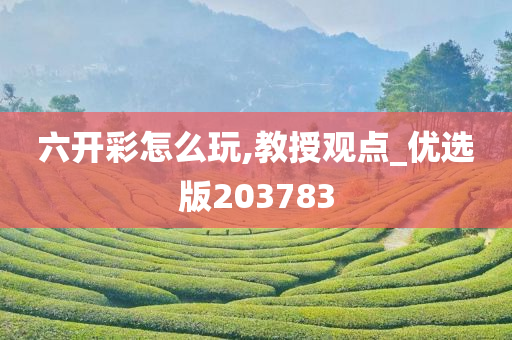 六开彩怎么玩,教授观点_优选版203783