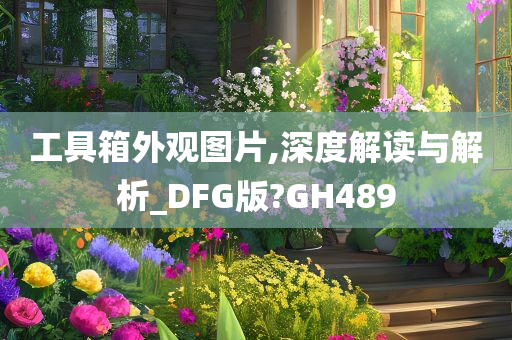 工具箱外观图片,深度解读与解析_DFG版?GH489