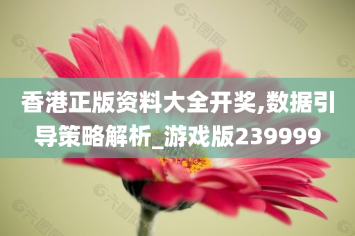 香港正版资料大全开奖,数据引导策略解析_游戏版239999