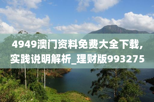 4949澳门资料免费大全下载,实践说明解析_理财版993275