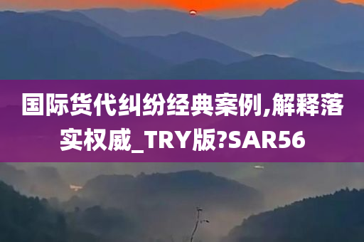 国际货代纠纷经典案例,解释落实权威_TRY版?SAR56