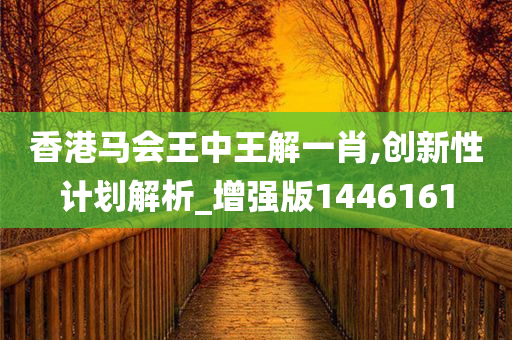 香港马会王中王解一肖,创新性计划解析_增强版1446161